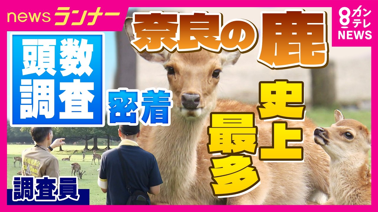 奈良 公園 鹿 数