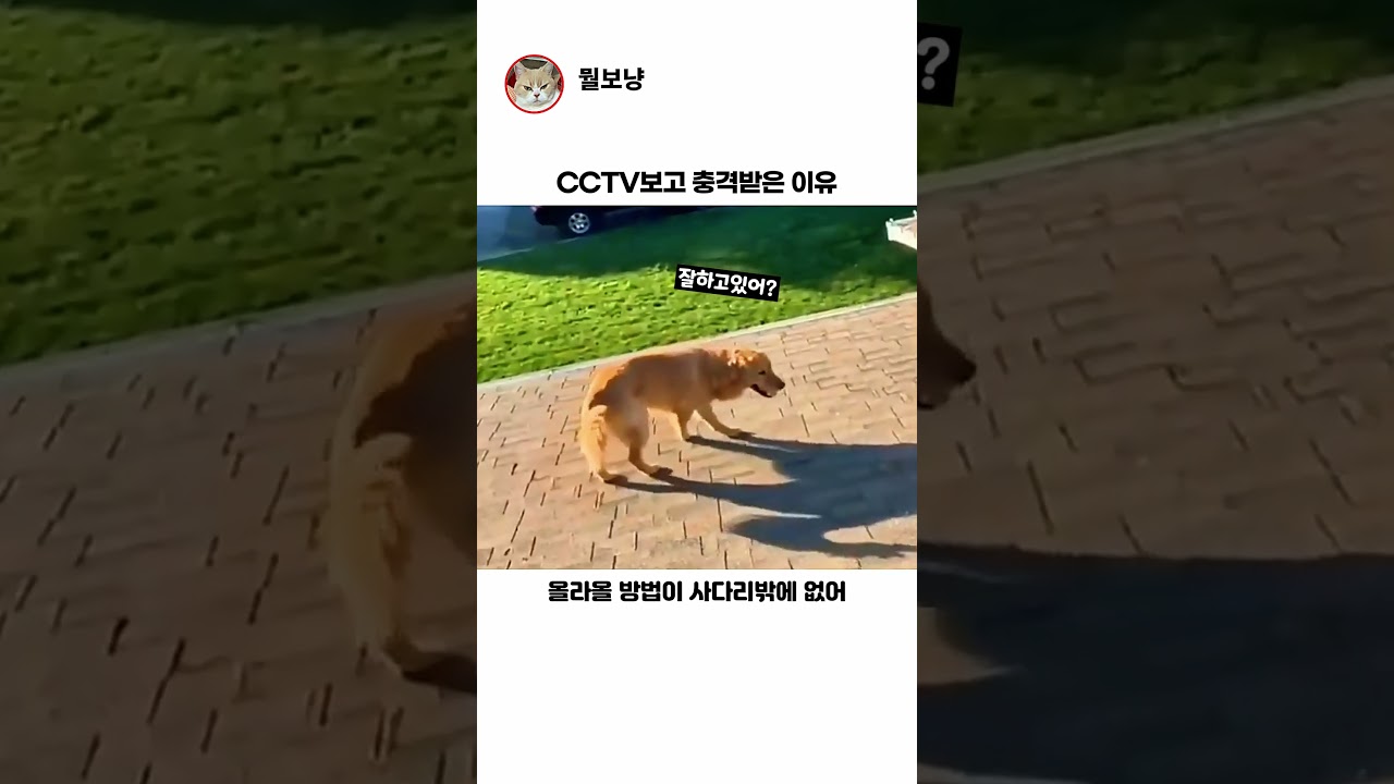 이정도면 사람 아니냐ㅋㅋ