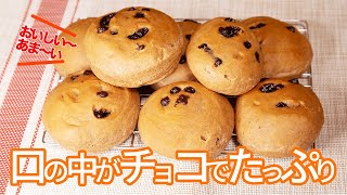 [チョコチップパン]プロが教える、シンプルで美味しいチョコパン