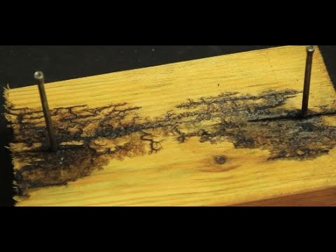 VIDEO: The silent, deadly danger of fractal wood burning