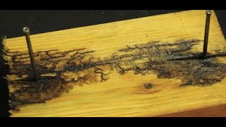 This Tik-Tok Trend is Killing People (Fractal Wood Burning PSA / Warning)