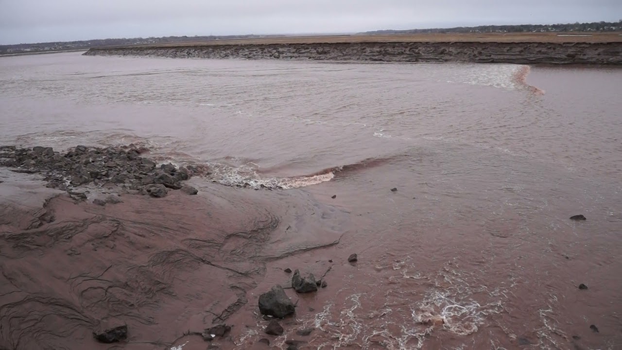Tidal bore Hall's Creek, Moncton, NB, Canada. May 8, 2021. YouTube