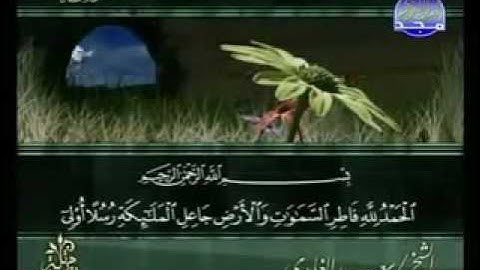 سوره فاطر باصدای زیبای سعد الغامدی _ سورەتی فاطر بە دەنگی سعد الغامدی