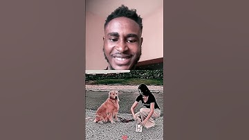 He Stole Poo💩 #funny #memes #cat #cute #popular #wgitachi #trending #viral #fypシ #dog #ytshorts