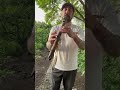 Why Your Flute Sounds Like a Strangled Goose (Fix It Now)