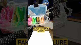 Review paket umpan softlure murah siap pakai #fishing #mamcingliar #mancing #casting #umpancasting