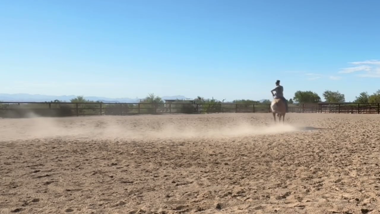 Restarting a horse… good training should be boring!!