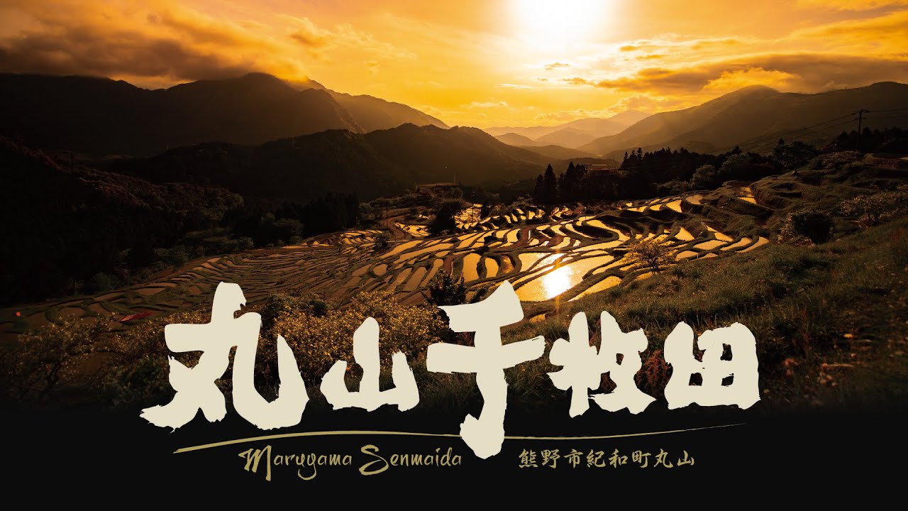 春の丸山千枚田。日本一の棚田景観、丸山千枚田。日本の棚田百選に選ばれた日本最大級の棚田「丸山千枚田」。星空タイムラプス zeapon micro2