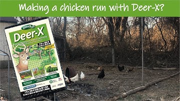Making a chicken run using CHEAP deer netting - does it work?