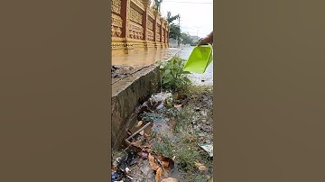 More Trash Clogged Culvert Drain #unclog #remove #culvert #drain #shorts