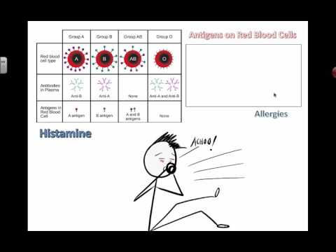 Video: Forskellen Mellem Allergen Og Antigen