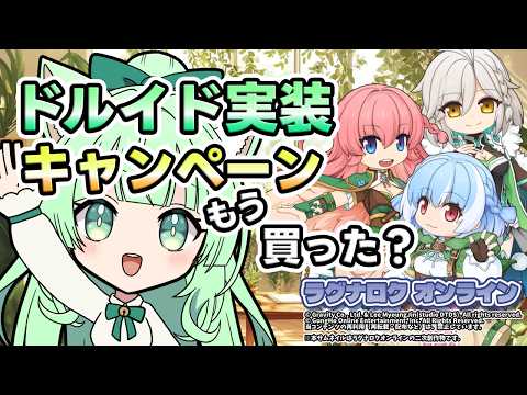 ドルイド実装キャンペーン🍃もう買った？【ラグナロクオンライン】