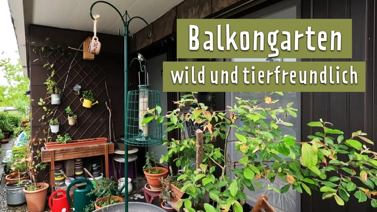 Wilder Balkon für Insekten MDR Garten YouTube