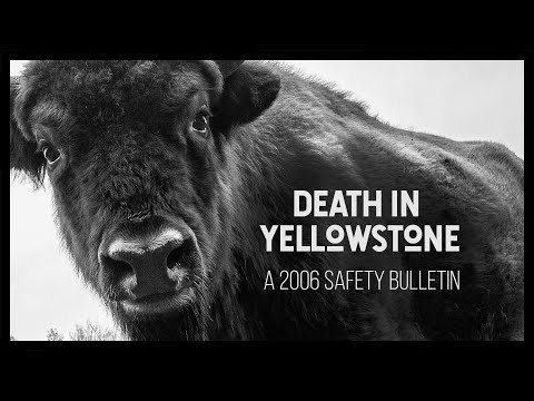 Video: Yellowstone Memiliki Big Big Brother. Dia Bangun, Tetapi USGS Tidak Membicarakannya - Pandangan Alternatif