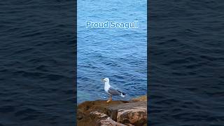 🌊Proud Seagull | Relaxation Near the Sea | Beautiful Sea Waves &amp; Nature ASMR | Waves🌊 #MaLiliAwaves