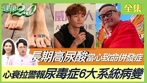 許效舜痛風37年 吃蝦住院9天！長期高尿酸當心致命併發症！尿毒症6大系統病變 心衰竭拉警報！冬季養腎祕笈！健康2.0 20221211【完整版】江坤俊 韋汝 江守山 柳朋馳 劉怡里 吳明珠 林秋香 - 天天要聞