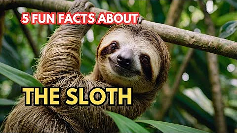 5 Fascinating Facts About Sloths You Didn't Know! 🦥