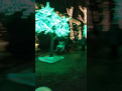 Aurora Winterland 2019 Pt2