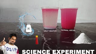 SCIENCE EXPERIMENT AT HOME//MR EXPERIMENT KING