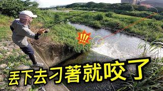 無意間去市區排水池釣魚,軟蟲丟下去通通咬走!影片後面還教你如何找釣點 赫馬士~How To Use Google Map To Find Fishing Spots. 無意間去市區排水池釣魚,軟蟲丟下去通通咬走!影片後面還教你如何找釣點 赫馬士~How To Use Google Map To Find Fishing Spots.