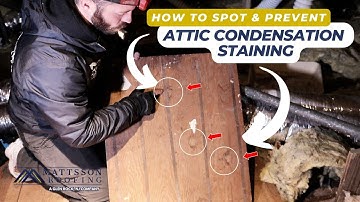 How to Spot and Fix Condensation Staining in Your Attic!