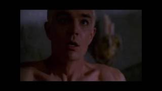 Spike & Buffybot - Buffy Lovers