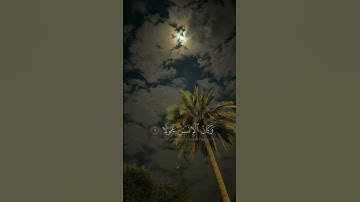 القارئ ياسر الدوسري