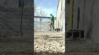 Disapproving Rooster Chases a Light-Hearted Guy Away