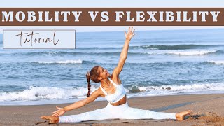 Mobility Benefits: WHY is it important, mobility vs flexibility... [basics explained!]