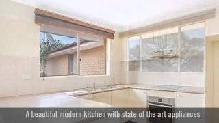 'EXECUTIVES STYLE OASIS', 34/157 HALDON STREET, LAKEMBA NSW