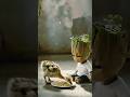 From Market to Jungle — The Story of a Saved ostrich #AnimalFlash#EmotionalStory#AnimalRescue