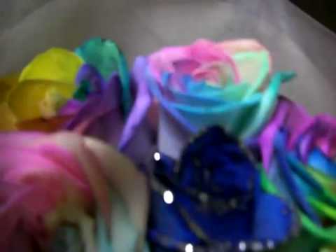 カラフルな薔薇の生花