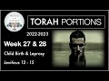 Torah Portions - Week 27 &amp; 28 -  Babies, Leprosy &amp; Verity - Leviticus 12-15 (2022-2023)