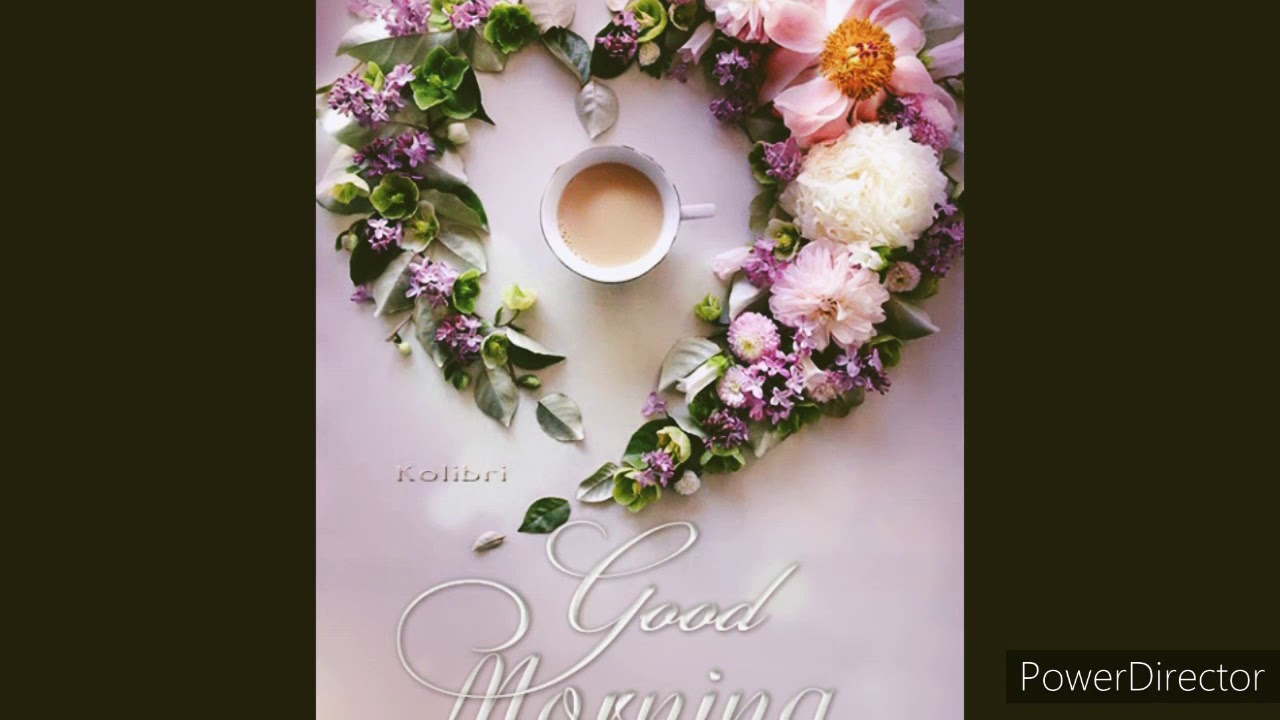 WhatsApp Status For Good Morning YouTube