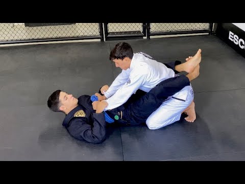 Vídeo: 30 Sinais De Que Você é Viciado Em Jiu-jitsu - Matador Network