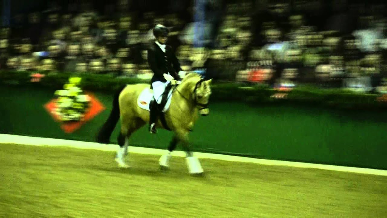 Caramel FH - 19/02/2012 - Présentation des étalons Böckmann