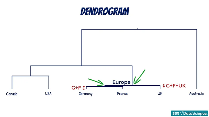 Part 49 Dendrogram - DayDayNews