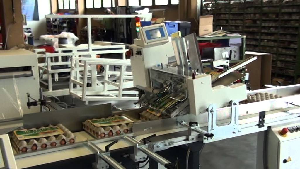 Hugo Beck servo X Eier, eggs 3600 4200 Cecab