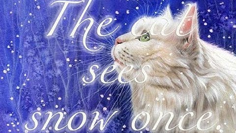The cat sees snow once  4K