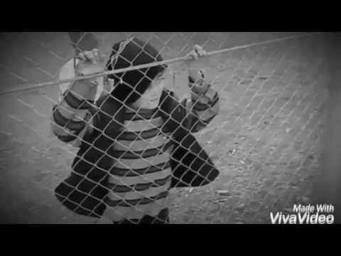 საყუნეთის სკოლაში მოსწავლეებმა ოჯახში ძალადობის წინააღმდეგ კლიპი გადაიღეს