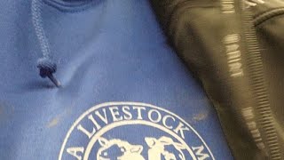 Livestock Auction 2-26 Start At 1pm