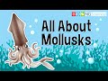 Molluscs: Unveiling the World of Soft-Bodied Creatures