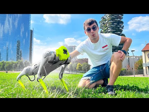 Video: Quanto costa un cucciolo robot?