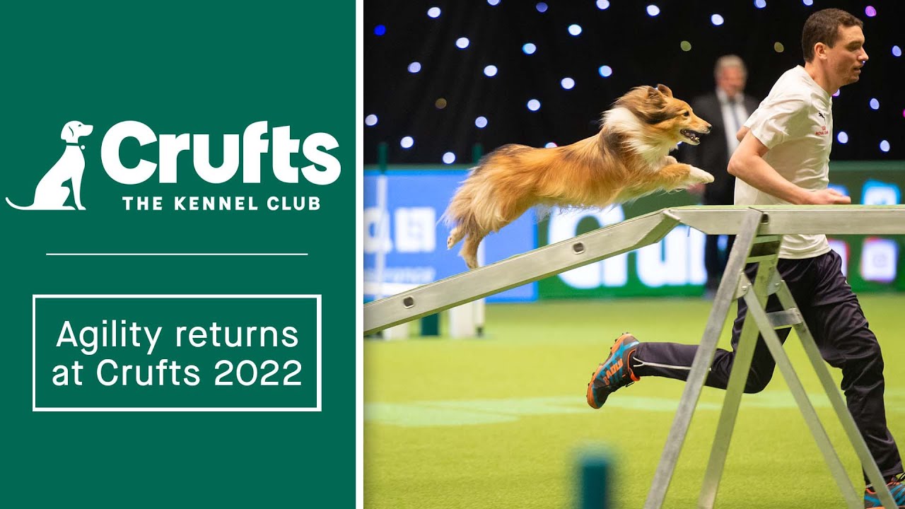 Can you and your dog do this? Agility returns at Crufts 2022! YouTube