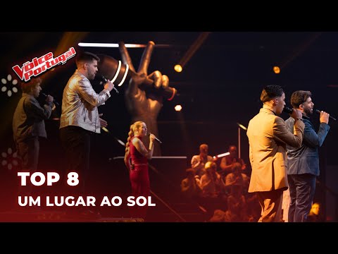 Top 8 -