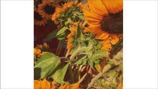 Rheehab - like a sunflower (feat. YAYYOUNG) [prod. OPO] chords