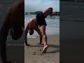 Ты так не двигаешься: звериный фитнес на рассвете (Animal Flow)