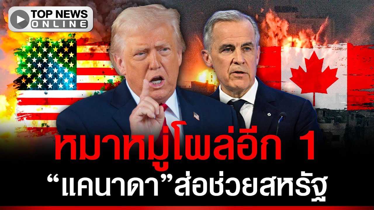 หมาหมู่โผล่อีก 1 