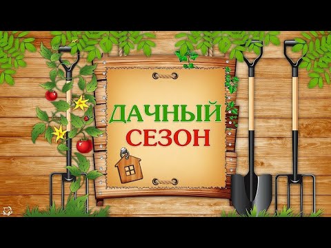 Сад 2021.Сбор первого урожая.Обзорная экскурсия.