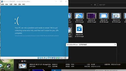 Windows 8 BSOD VM Compilation P1